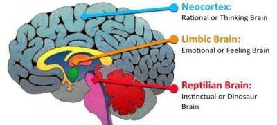 The Psychology Behind Training For Your First Race - Virtual Fitness Challenge Blog | Run The Edge